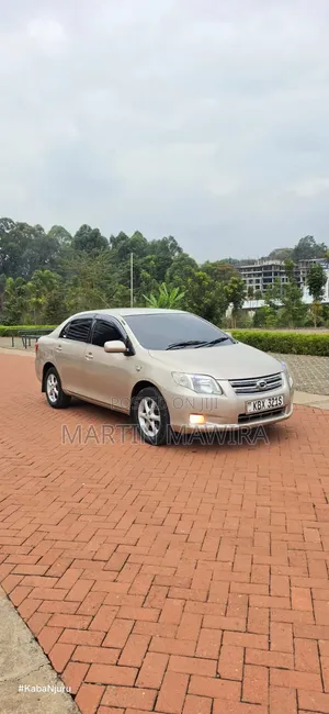 Toyota Axio 2007 Gold