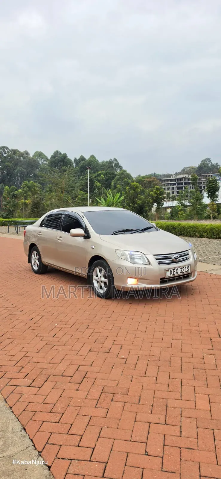 Toyota Axio 2007 Gold