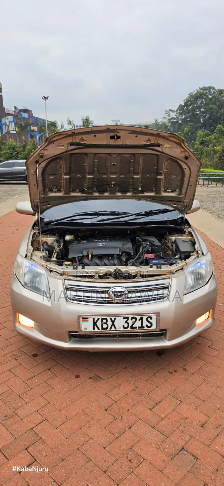 Toyota Axio 2007 Gold