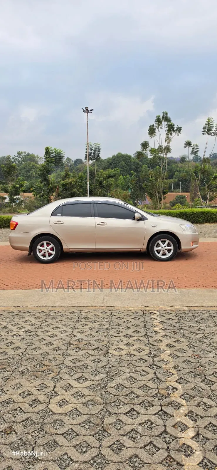 Toyota Axio 2007 Gold