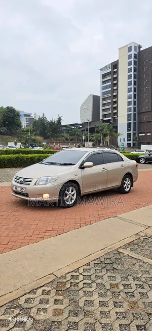 Toyota Axio 2007 Gold