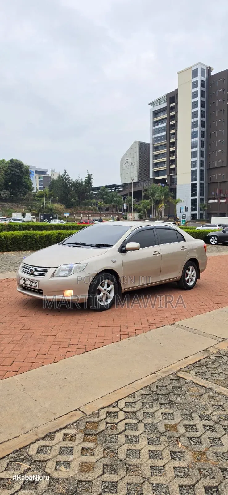Toyota Axio 2007 Gold