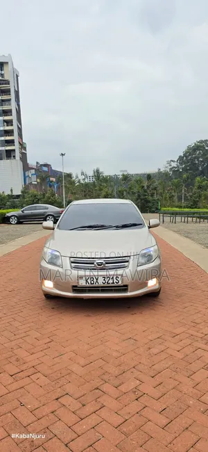 Toyota Axio 2007 Gold