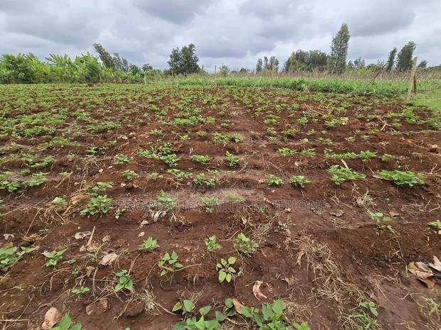1 Acre for Sale in Kangai, Kirinyaga County.