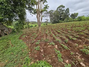 1 Acre for Sale in Kangai, Kirinyaga County.