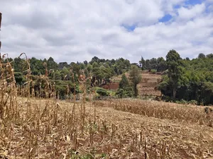 1 Acre of Land for Sale in Kahara, Ngong.