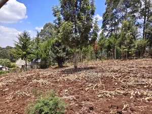1 Acre of Land for Sale in Kahara, Ngong.