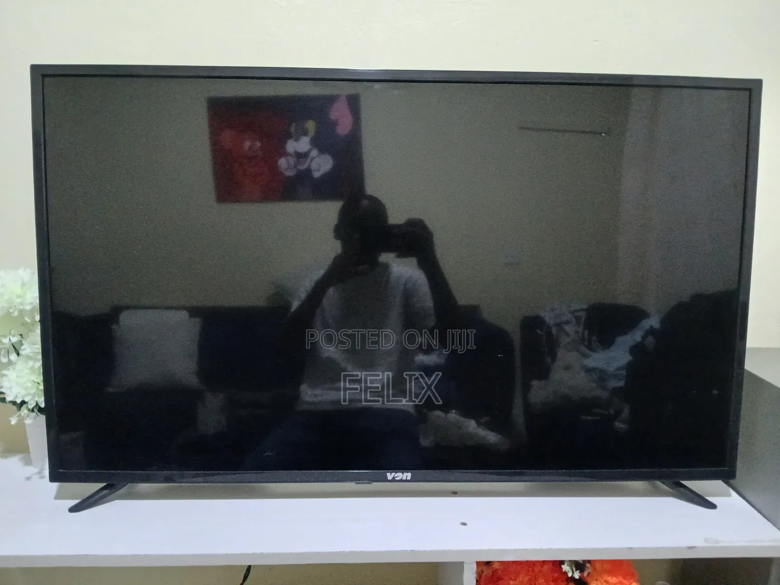 Television