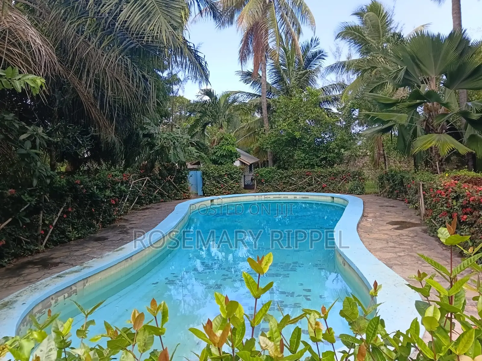 Furnished 1bdrm Apartment in Villa Vanessa, Barani for rent