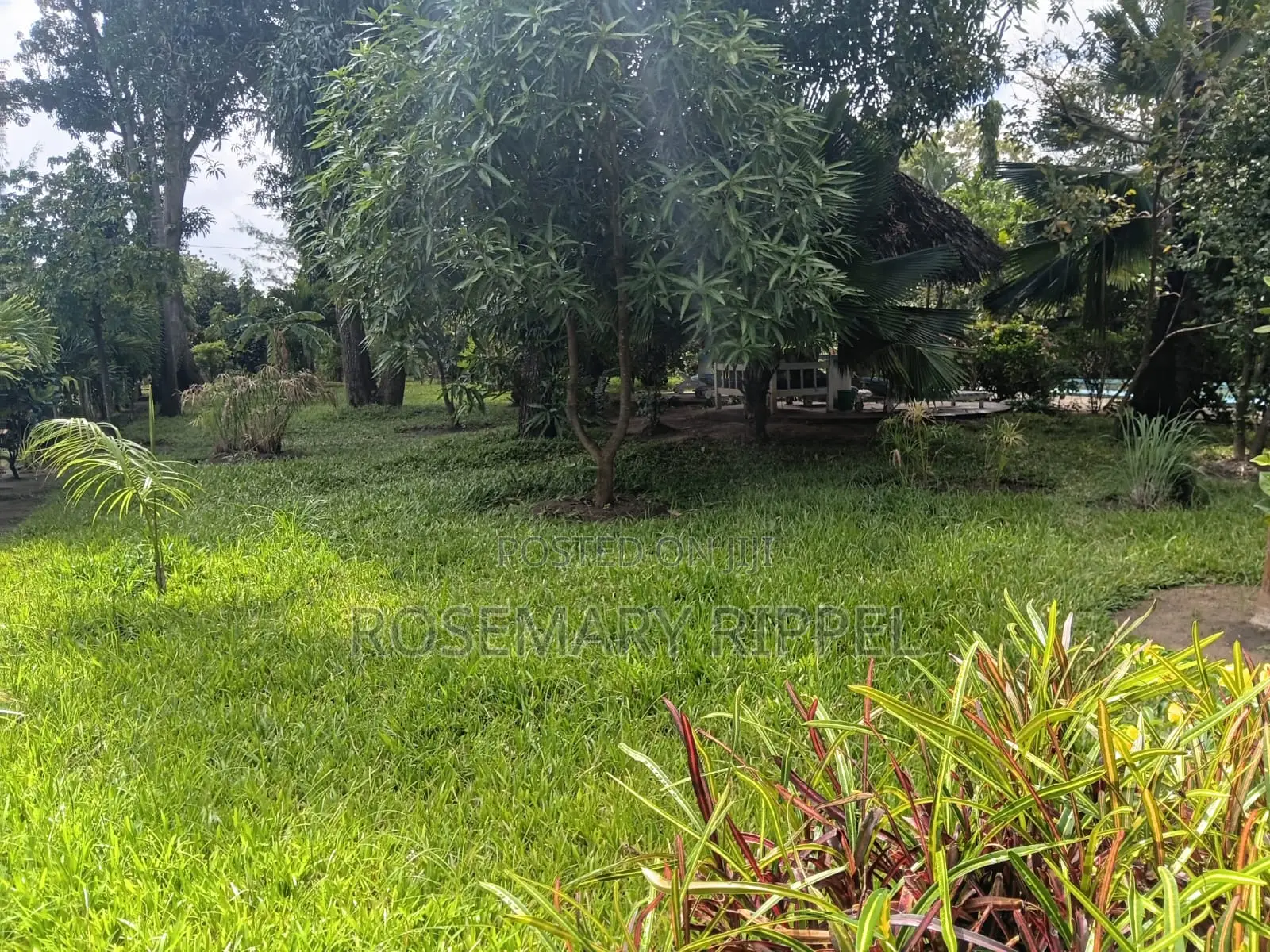 Furnished 1bdrm Apartment in Villa Vanessa, Barani for rent