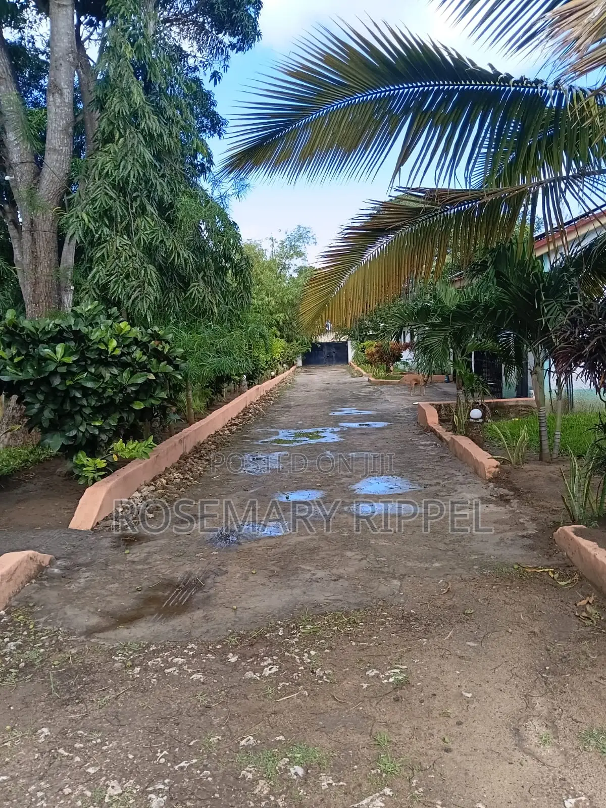 Furnished 1bdrm Apartment in Villa Vanessa, Barani for rent