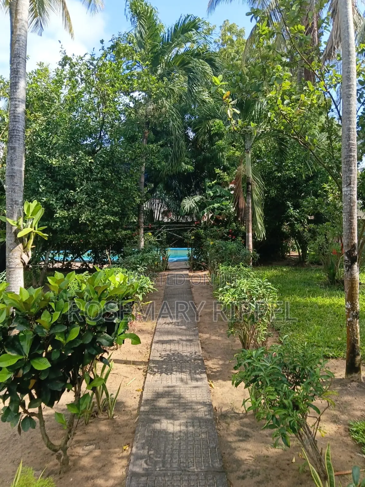 Furnished 1bdrm Apartment in Villa Vanessa, Barani for rent