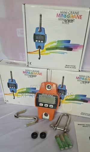300 KGS Crane Scale