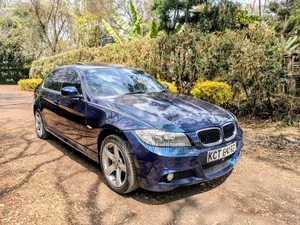 BMW 318i 2011 Blue