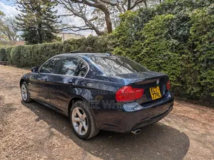 BMW 318i 2011 Blue