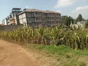 50 by 100 Plot in Zambezi