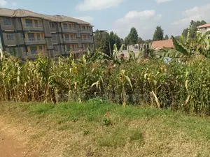 50 by 100 Plot in Zambezi