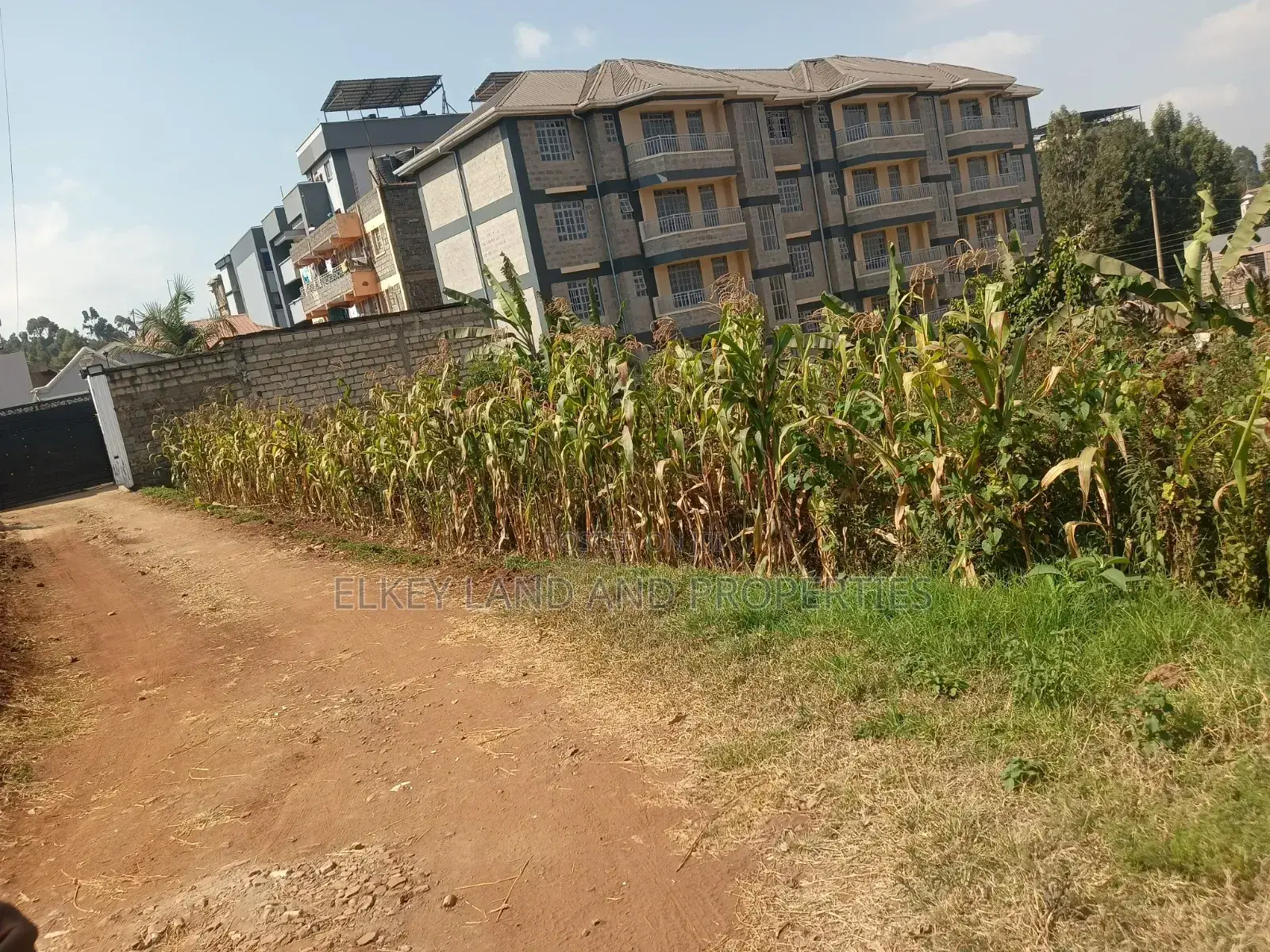 50 by 100 Plot in Zambezi