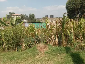 50 by 100 Plot in Zambezi