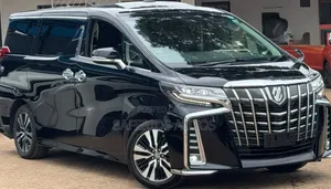 Toyota Alphard 2.5 Petrol FWD 2019 Matt Black