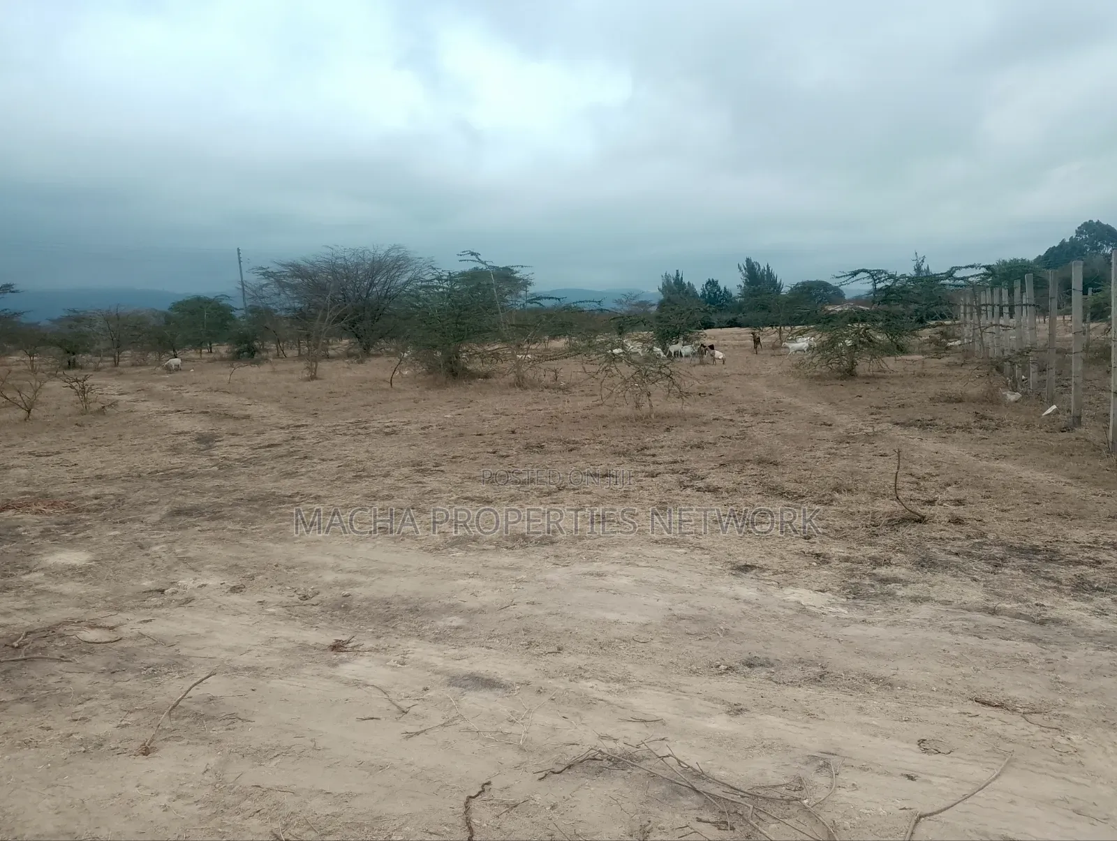 10 Plots Each Sized 50by Ft Machakos Kenya Israel