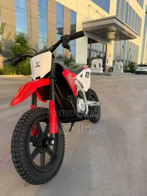 250W Electric Dirt Bike – Gn
