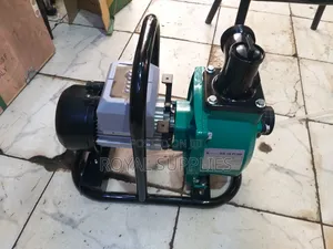 Solarpex 2 Inch DC Solar Surface Pump