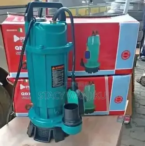 Premier Submersible Water Pump/ 1 HP Submersible