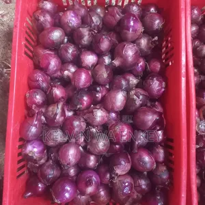 Onions for Sale