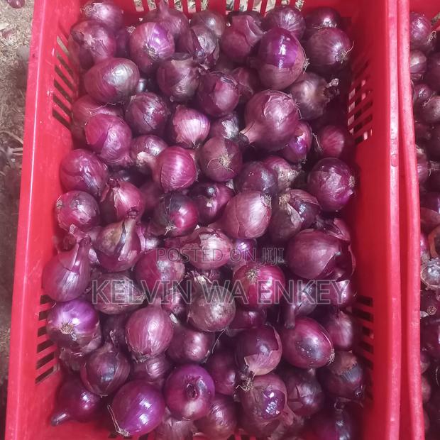 Onions for Sale