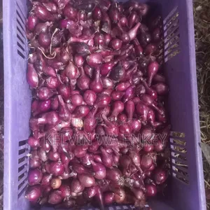 Onions for Sale