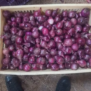 Onions for Sale