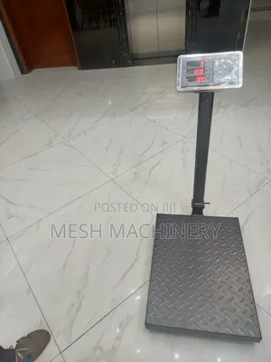 300kg Digital Platform Weighing Scale