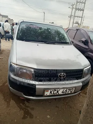 Toyota Probox 2008 Silver