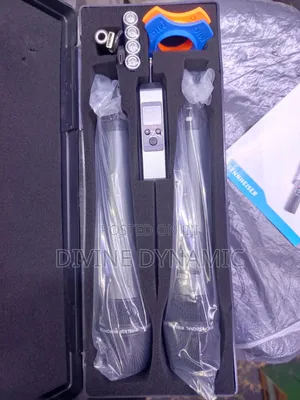 Shure BLX 282 Wireless Microphone