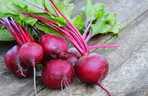 Healthy Beetroot Seedlings