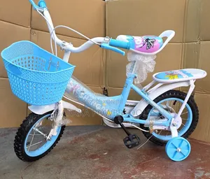 Children’s Bicycle/Tricycle With Training Wheels