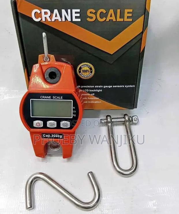 Digital Crane Scale - main view