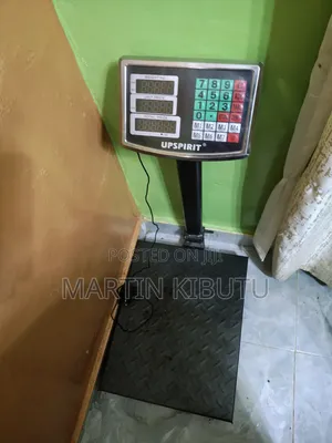 300kg Capacity Price Weighing Scale