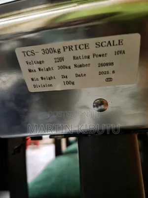 300kg Capacity Price Weighing Scale
