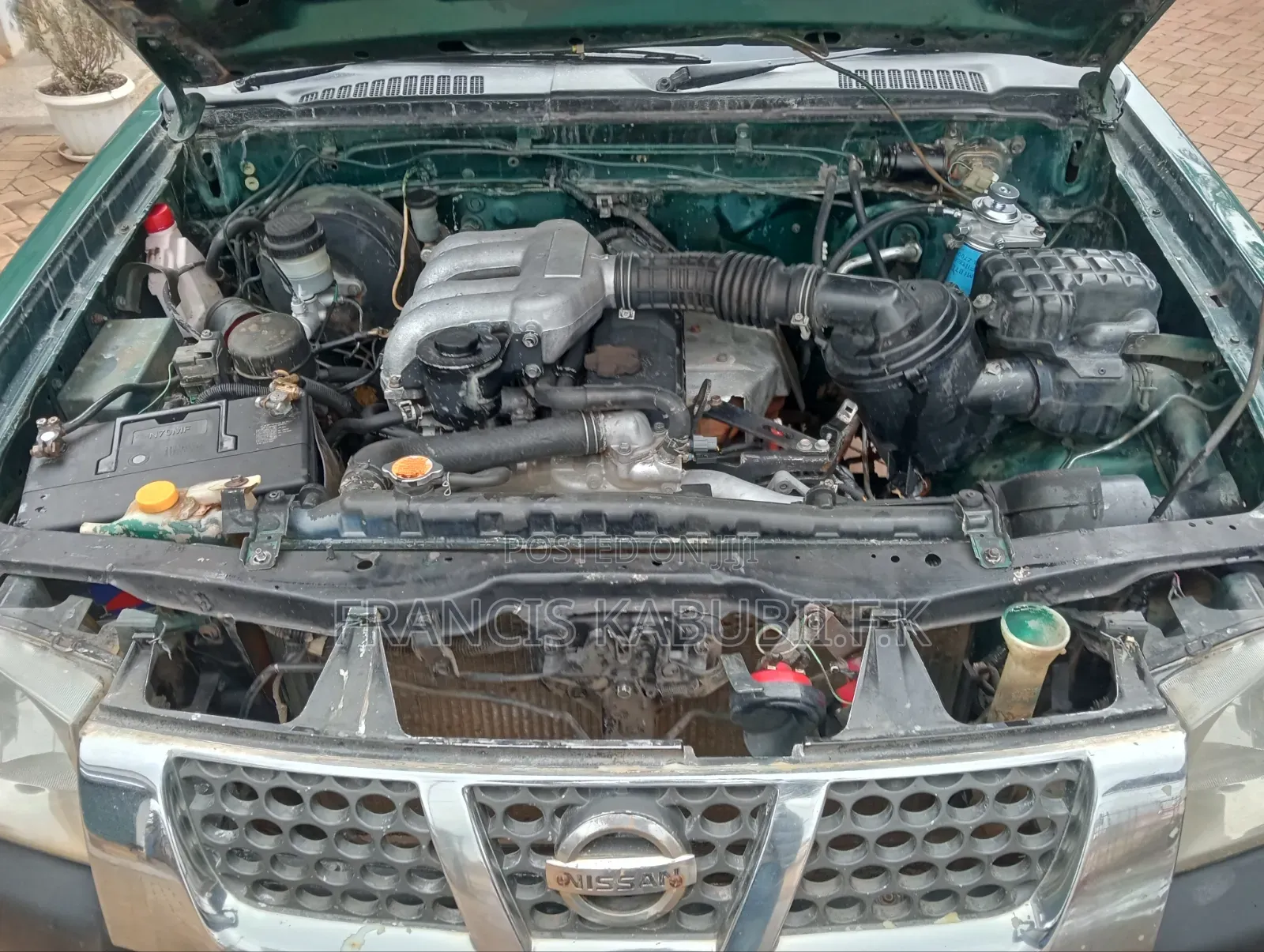 Nissan Hardbody 2008 Green