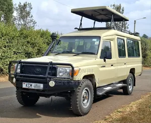 Toyota Land Cruiser 76 Series 2017 Brown