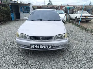 Toyota Corolla 2001 Gray
