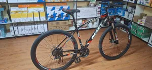 Reset Mountain Bike – Size 29