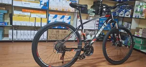 Reset Size 29 Mountain Bike Black