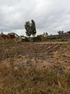 Kiganjo Thika Commy