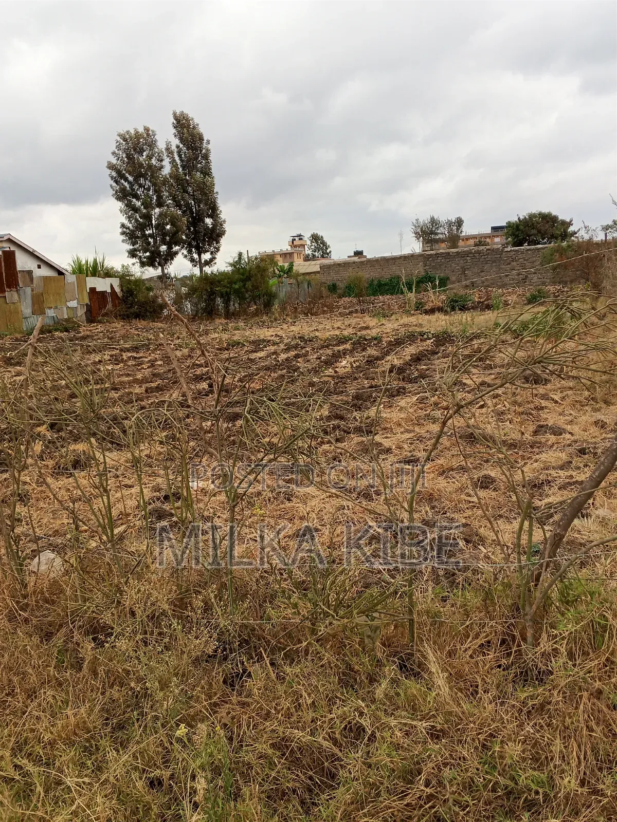 Kiganjo Thika Commy