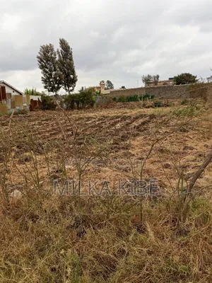 Kiganjo Thika Commy