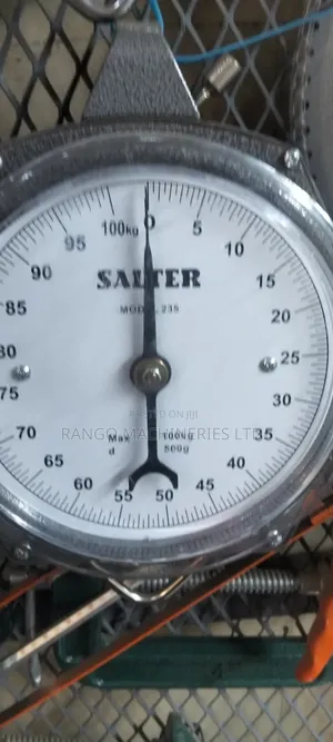 Salter Weighing Scale