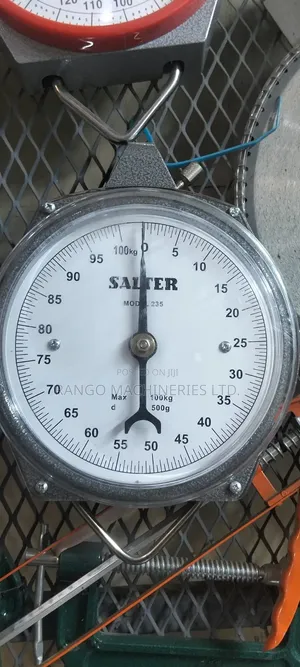 Salter Weighing Scale